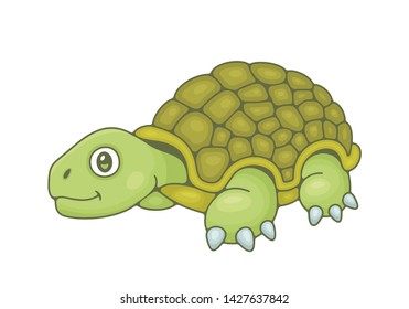 Turtle. isolated on white background