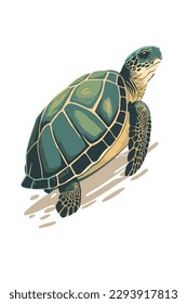 Turtle isolated on white background. Vector illustration. flat vector cartoon style