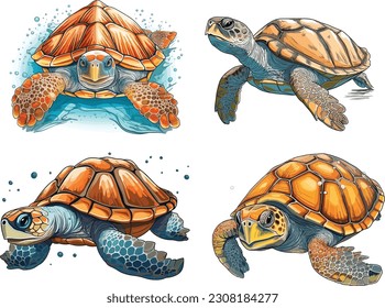 Turtle isolated on a white background. Turtle  clip art set