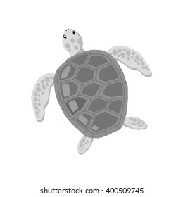 Turtle isolated on white background design flat. Tortoise with a big black carapace. The head and fins are covered with turtles speckled pattern. Creature  wildlife of wold world. Vector illustration