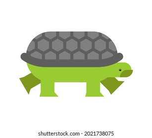 Turtle isolated. tortoise vector illustration. animal cartoon