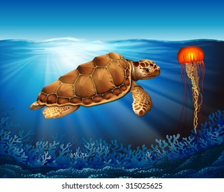 Turtle and jelly fish swimming in the sea illustration