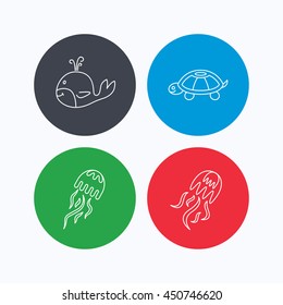 Turtle and jellyfish  icons. Whale linear sign. Linear icons on colored buttons. Flat web symbols. Vector