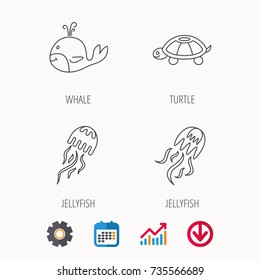 Turtle and jellyfish  icons. Whale linear sign. Calendar, Graph chart and Cogwheel signs. Download colored web icon. Vector