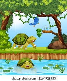 Cartoon Pond Images, Stock Photos & Vectors | Shutterstock