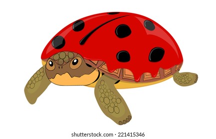 Turtle ladybug with a surprised look on white background
