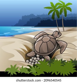 Turtle laying eggs on the beach, vector illustration.