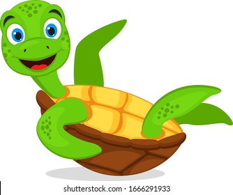 Turtle lies upside down and waves its fin on a white background. Character