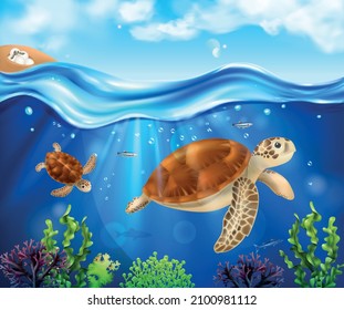 Turtle life cycle realistic background with baby hatching in sand juvenile and adult tortoises swimming in sea vector illustration