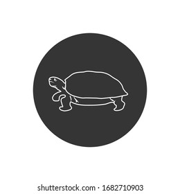 Turtle line icon symbol. Premium quality isolated tortoise element in trendy style