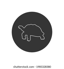 Turtle line icon, vector illustration in flat