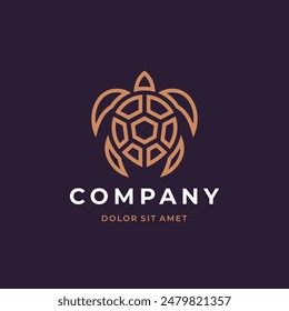 Turtle logo design. Modern icon. Sea turtle illustration.