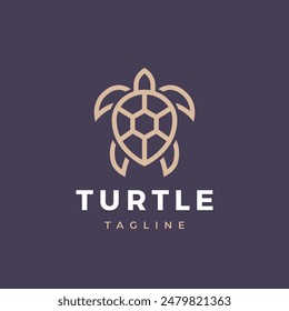 Turtle logo design. Modern icon. Sea turtle illustration.