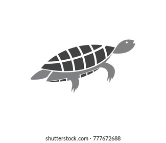 Turtle logo design template