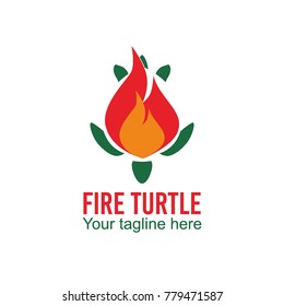 Turtle Logo Design Vector