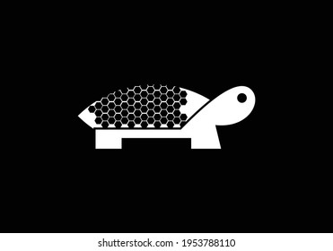 Turtle Logo design Vector Illustration template