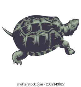 Turtle logo design vector Illustration in vintage style inspiration for your company.