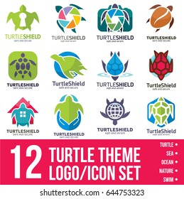 Turtle Logo / Icon Bundle