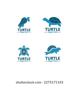 Turtle Logo Image Vector Illustration
