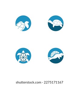 Turtle Logo Image Vector Illustration