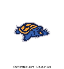 Turtle logo, orange blue with white background 