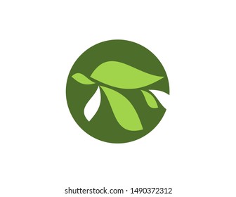 Turtle logo simple design vector template. simple modern logo turtle. logo for business, company, brand, event