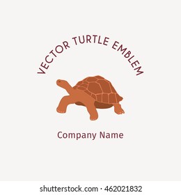 Turtle logo template. Vector flat emblem design