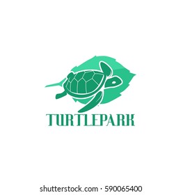 Turtle Logo Vector