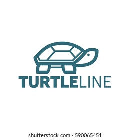 turtle logo vector