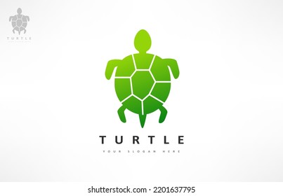 Turtle logo vector. Animal design.