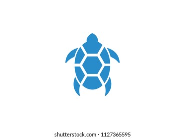 turtle logo vector illustration design