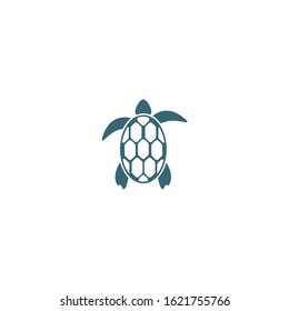 Turtle logo vector illustration design