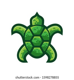 turtle logo vector, template, illustration