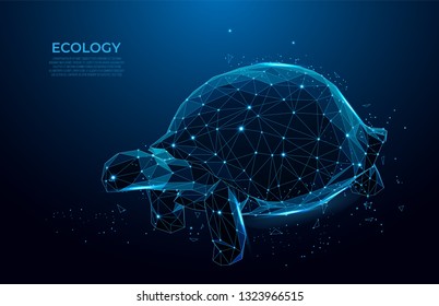 Turtle low poly wireframe. Ecology concept with Turtle, low poly style.  Vector polygonal wireframe mesh art