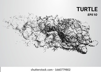 A turtle made of particles. A turtle consists of circles and dots. The turtle splits into molecules.