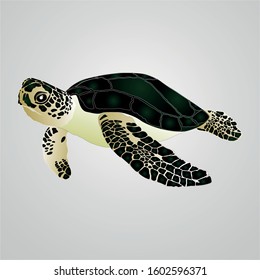 Turtle marine animal illustration. colorful illustration of turtle marine animal vector icon.