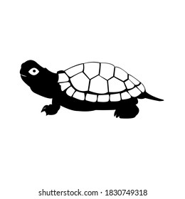Turtle marine animal illustration. Simple illustration of turtle marine animal vector icon for web design isolated on white background