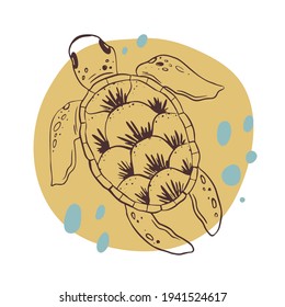 Turtle. Minimalistic nautical illustration for invitations, posters, wall art, greeting cards, t-shirt and others