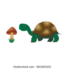 Turtle and mushroom drawn on a white background, vector illustration
