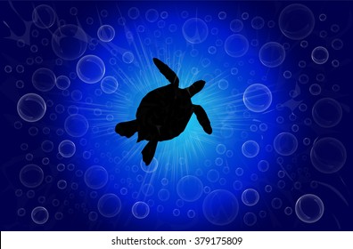Turtle in the ocean