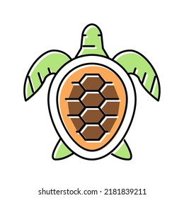 turtle ocean color icon vector. turtle ocean sign. isolated symbol illustration