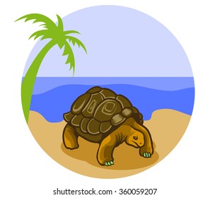 Turtle On The Beach