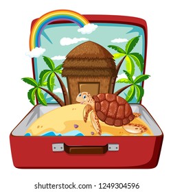 Turtle on the beach in luggage