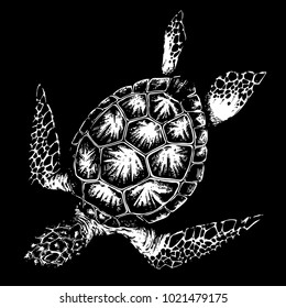 Turtle on black background ,hand drawing