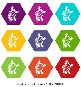 Turtle on head icons 9 set coloful isolated on white for web