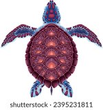 Turtle on top view, vector isolated animal
