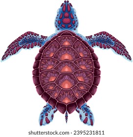 Turtle on top view, vector isolated animal
