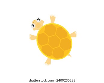 Turtle on a white background.