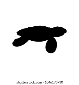 Turtle on white background. Silhouette vector design. Sea turtle.