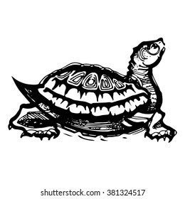 Turtle on white background. Vector illustration. 